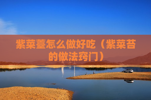 紫菜薹怎么做好吃（紫菜苔的做法窍门）