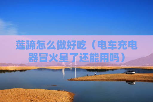 莲蹄怎么做好吃（电车充电器冒火星了还能用吗）