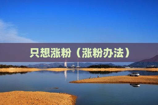 只想涨粉（涨粉办法）