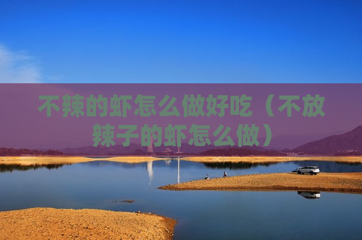不辣的虾怎么做好吃（不放辣子的虾怎么做）