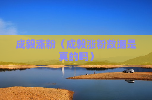 成毅涨粉（成毅涨粉数据是真的吗）