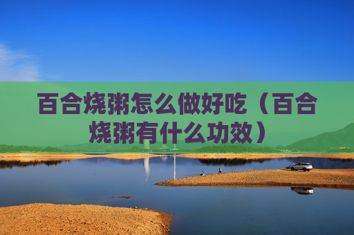 百合烧粥怎么做好吃（百合烧粥有什么功效）