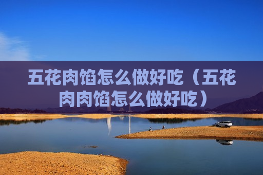 五花肉馅怎么做好吃（五花肉肉馅怎么做好吃）