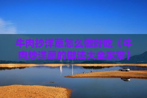 牛肉抄洋葱怎么做好吃（牛肉炒洋葱的做法大全家常）