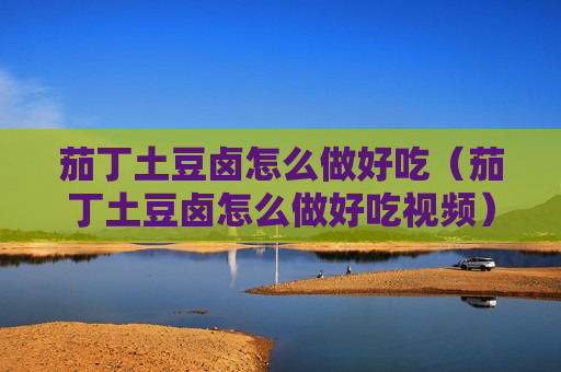 茄丁土豆卤怎么做好吃（茄丁土豆卤怎么做好吃视频）