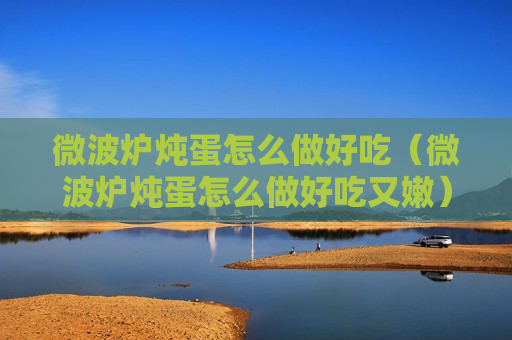 微波炉炖蛋怎么做好吃（微波炉炖蛋怎么做好吃又嫩）