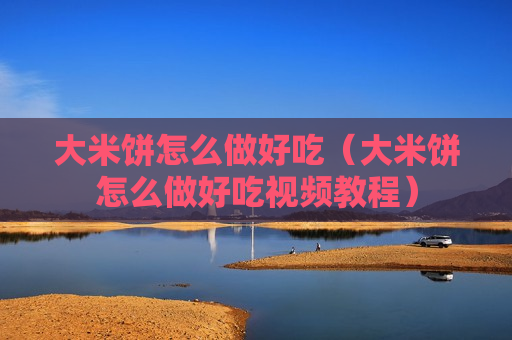 大米饼怎么做好吃（大米饼怎么做好吃视频教程）