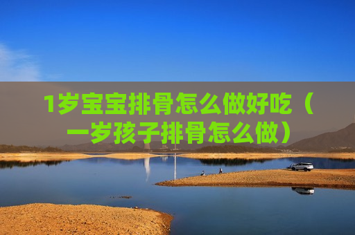 1岁宝宝排骨怎么做好吃（一岁孩子排骨怎么做）
