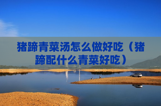 猪蹄青菜汤怎么做好吃（猪蹄配什么青菜好吃）
