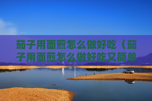 茄子用面煎怎么做好吃（茄子用面煎怎么做好吃又简单）