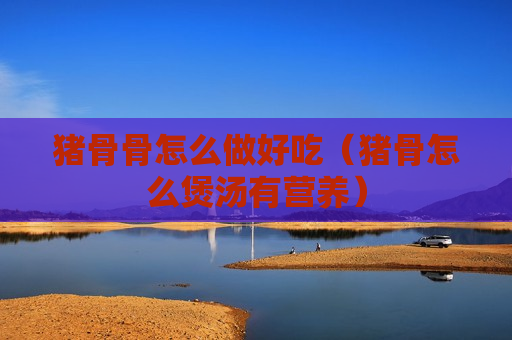 猪骨骨怎么做好吃（猪骨怎么煲汤有营养）