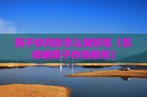 辣子炒鸡胗怎么做好吃（怎样做辣子炒鸡视频）