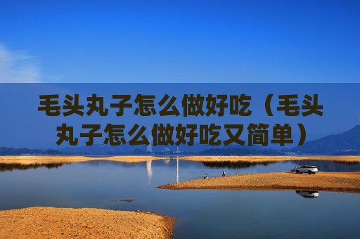 毛头丸子怎么做好吃（毛头丸子怎么做好吃又简单）
