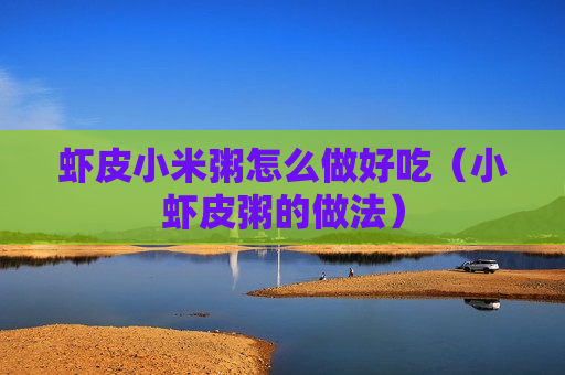 虾皮小米粥怎么做好吃（小虾皮粥的做法）