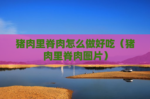 猪肉里脊肉怎么做好吃（猪肉里脊肉图片）