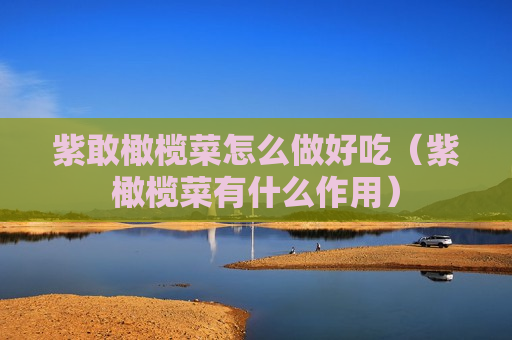紫敢橄榄菜怎么做好吃（紫橄榄菜有什么作用）
