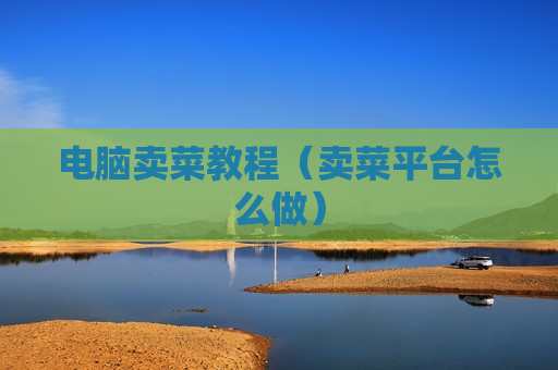 电脑卖菜教程（卖菜平台怎么做）