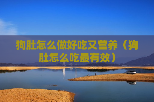 狗肚怎么做好吃又营养（狗肚怎么吃最有效）