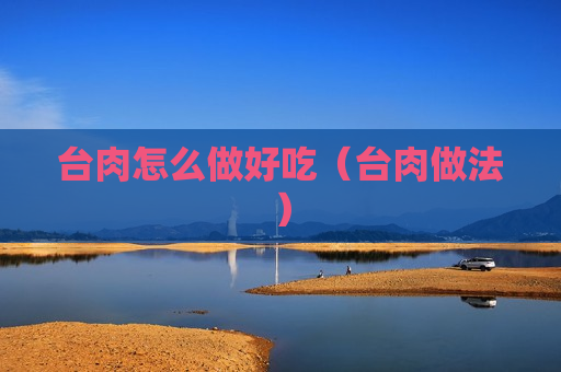 台肉怎么做好吃（台肉做法）
