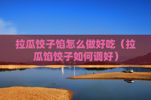 拉瓜饺子馅怎么做好吃（拉瓜馅饺子如何调好）