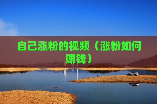 自己涨粉的视频（涨粉如何赚钱）