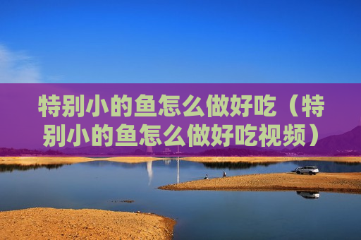 特别小的鱼怎么做好吃（特别小的鱼怎么做好吃视频）