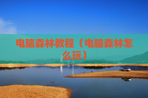 电脑森林教程（电脑森林怎么玩）