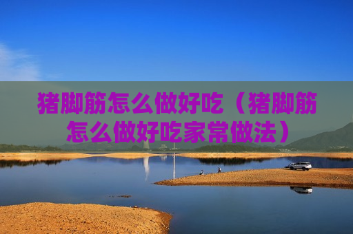 猪脚筋怎么做好吃（猪脚筋怎么做好吃家常做法）