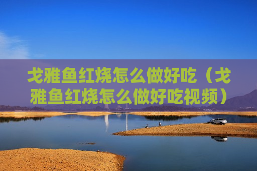戈雅鱼红烧怎么做好吃（戈雅鱼红烧怎么做好吃视频）