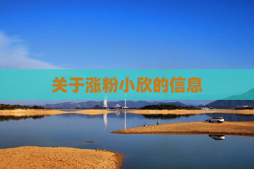 关于涨粉小欣的信息