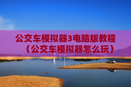 公交车模拟器3电脑版教程（公交车模拟器怎么玩）