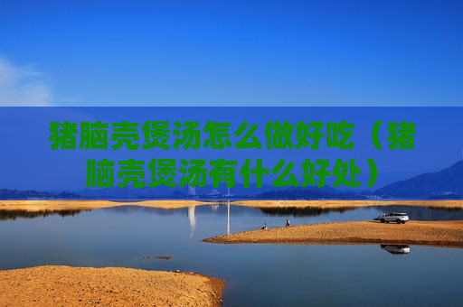 猪脑壳煲汤怎么做好吃（猪脑壳煲汤有什么好处）