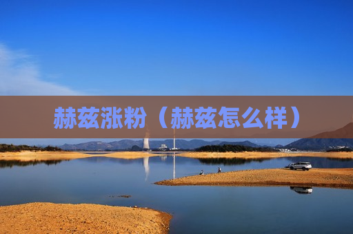 赫兹涨粉（赫兹怎么样）