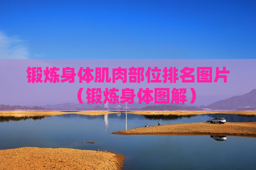 锻炼身体肌肉部位排名图片（锻炼身体图解）