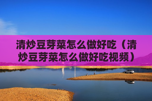 清炒豆芽菜怎么做好吃（清炒豆芽菜怎么做好吃视频）