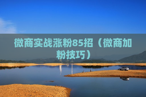 微商实战涨粉85招（微商加粉技巧）