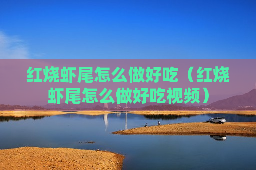 红烧虾尾怎么做好吃（红烧虾尾怎么做好吃视频）