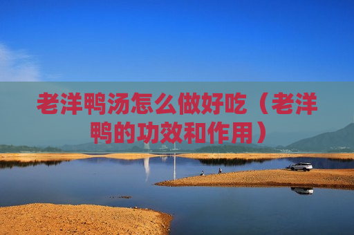 老洋鸭汤怎么做好吃（老洋鸭的功效和作用）