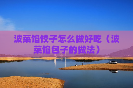 波菜馅饺子怎么做好吃（波菜馅包子的做法）