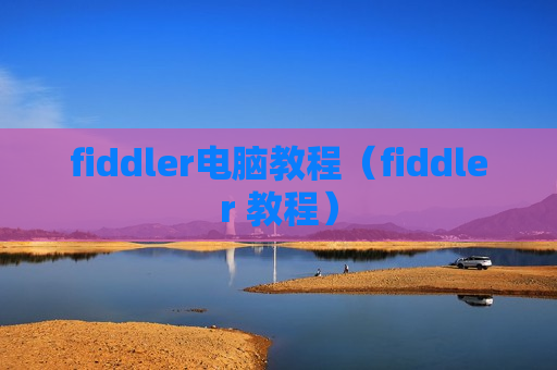fiddler电脑教程（fiddler 教程）