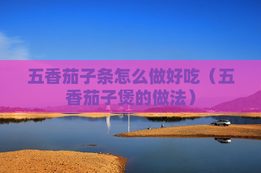 五香茄子条怎么做好吃（五香茄子煲的做法）