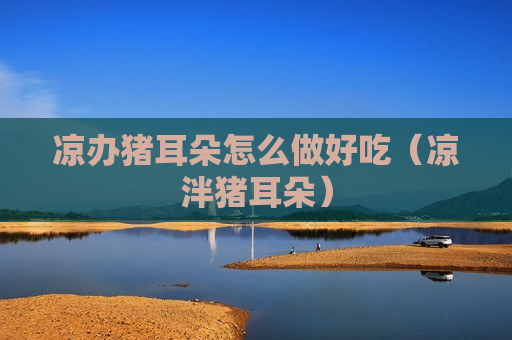 凉办猪耳朵怎么做好吃（凉泮猪耳朵）