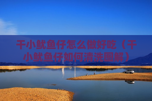 干小鱿鱼仔怎么做好吃（干小鱿鱼仔如何清洗图解）