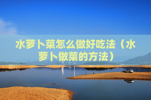 水萝卜菜怎么做好吃法（水萝卜做菜的方法）