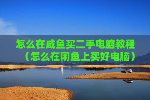 怎么在咸鱼买二手电脑教程（怎么在闲鱼上买好电脑）