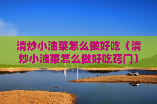 清炒小油菜怎么做好吃（清炒小油菜怎么做好吃窍门）