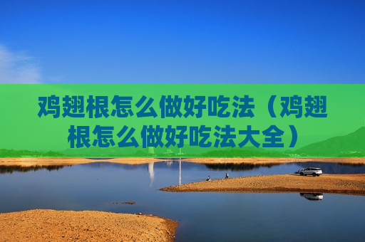 鸡翅根怎么做好吃法（鸡翅根怎么做好吃法大全）