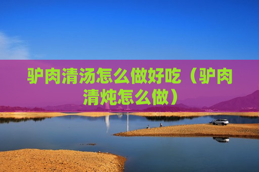 驴肉清汤怎么做好吃（驴肉清炖怎么做）