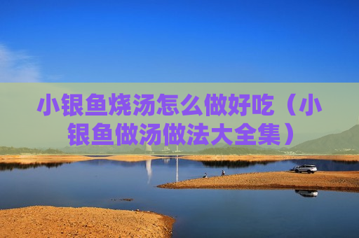 小银鱼烧汤怎么做好吃（小银鱼做汤做法大全集）