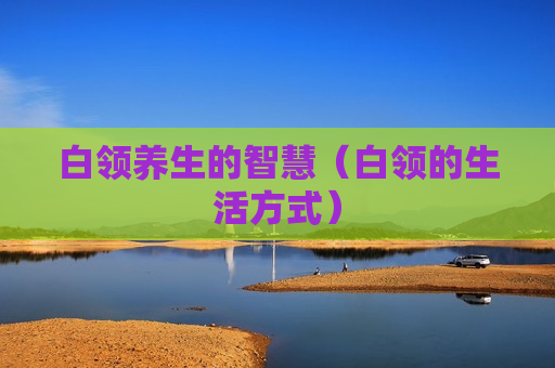 白领养生的智慧（白领的生活方式）